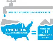 Household Leak Waste